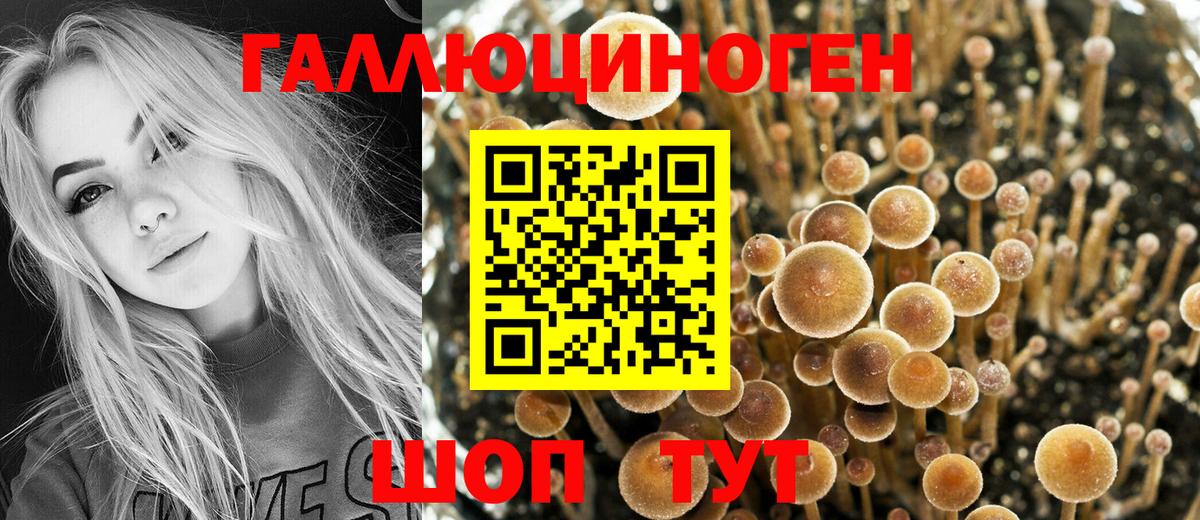 Псилоцибиновые грибы мухоморы  Вход с VPN  купить наркотик  Псилоцибиновые грибы мухоморы  Кировск 